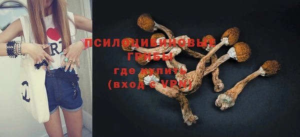 гашик Аркадак