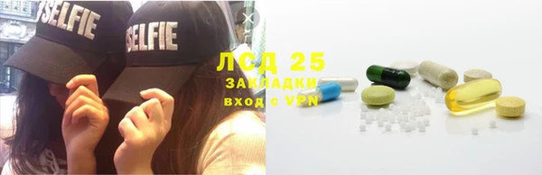 гашик Аркадак