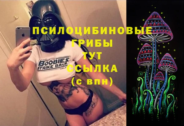 не бодяженный Арсеньев