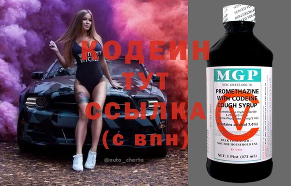 гашик Аркадак