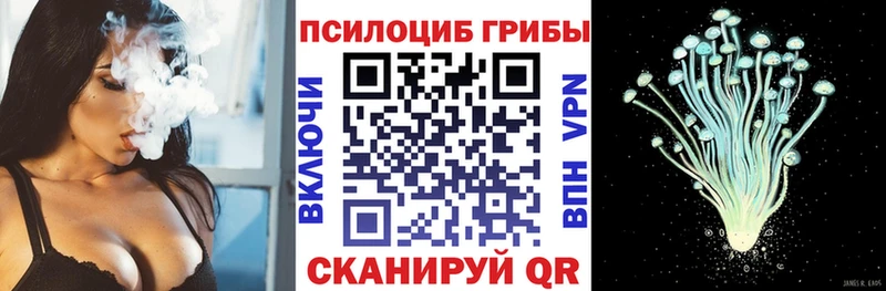 Псилоцибиновые грибы Psilocybine cubensis  Новороссийск 